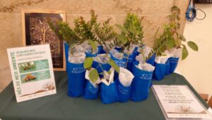 DPRJ-MES-DO-MEIO-AMBIENTE-2026